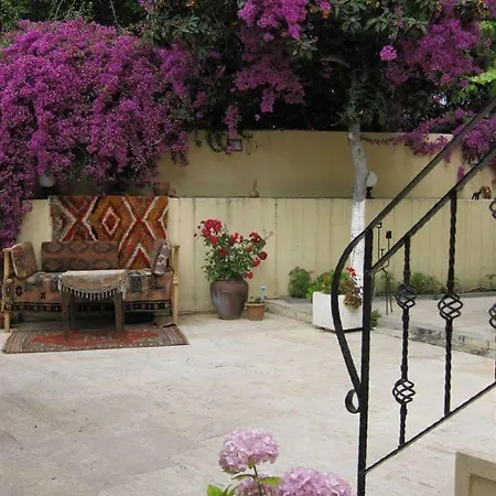 Blue Sea Garden 3*